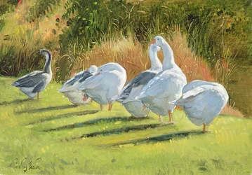 Bordo del fossato, Bedfield